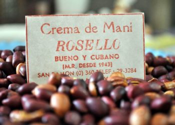 In 1994 the Cuban Office of Industrial Property had Rossello as the only international Trademark / Photo courtesy of the author.
