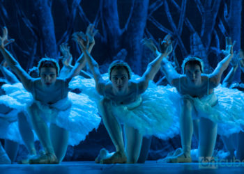 As usual, the public can also enjoy the classics: Giselle, Coppelia, The Sleeping Beauty and The Swan Lake, performed by the National Ballet of Cuba