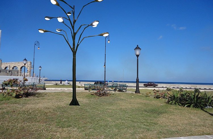 "Tree of light", Rafael Villares, Cuba