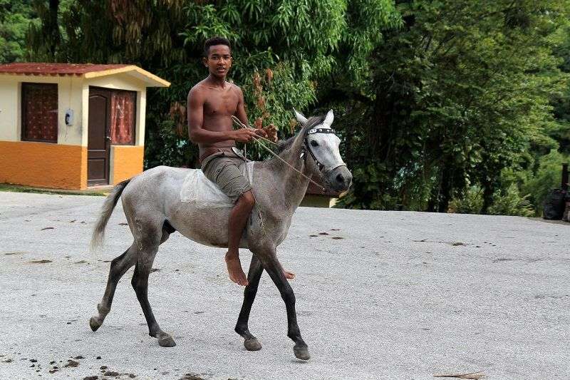 Some residents of Santo Domingo prefer to travel by horse. In around 2011, they say, three people were killed after the brakes in their jeep failed while returning from La Plata. Photo: Tracey Eaton