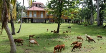 The plantation once resembled a company town. It had a store, bakery, restaurant, bar, hotel, bookkeeping office, cockfighting ring and school. Photo: Tracey Eaton