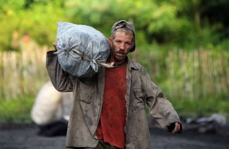Cuban charcoal maker. Photo: Alejandro Ernesto (EFE)