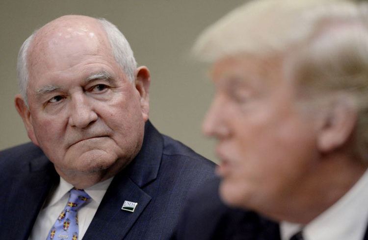 U.S. Secretary of Agriculture Sonny Perdue. Photo: Olivier Douliery-Pool/Getty Images.