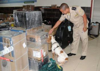 Anti-drug inspection of the Cuban General Customs Office. Photo: Ismael Batista / Granma / Archive.