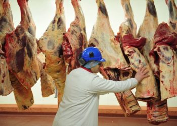 Beef in processing plant in Paraguay. Photo: 5 Días.