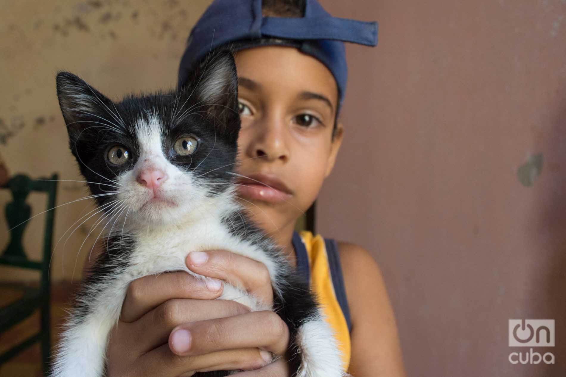 Child in Lis Núñez’ cat shelter in Guanabacoa. Photo: Otmaro Rodríguez.