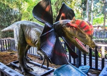 Animated dinosaur replica, installed in the Parque Forestal de La Habana, which reopened its doors on Sunday, November 17, 2019. Photo: Yaciel de la Peña / ACN.