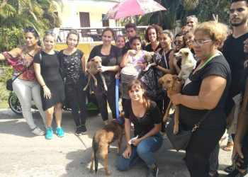 Cuban activists who rescued animals that were to be put to sleep in Havana by the state agency Zoonosis, on November 11, 2019. Photo: Beatriz Batista / Facebook.