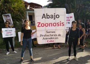 Cuban protectors protest against animal abuse in front of a center of the state Zoonosis program, on Monday, November 11, 2019. Photo: Beatriz Batista's Facebook profile.