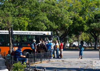 Bus stop at the Parque de la Fraternidad. Photo: Otmaro Rodríguez.