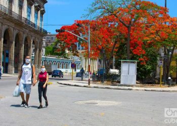 The new cases are from Havana and Mayabeque, and to the municipalities of Cotorro and San José de las Lajas, respectively. Photo: Otmaro Rodríguez