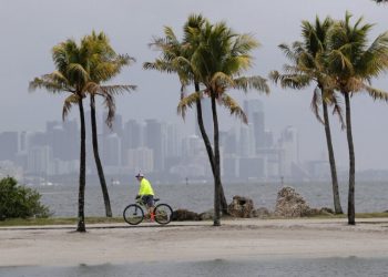 View of Miami near Biscayne Bay on May 15, 2020. Photo: AP.
