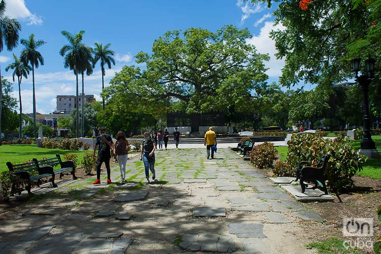 Havana reported the highest number of cases, followed by Villa Clara, Artemisa, Pinar del Río, Santiago de Cuba, Holguín, Mayabeque, Las Tunas, Granma, and Guantánamo. Photo: Otmaro Rodríguez.