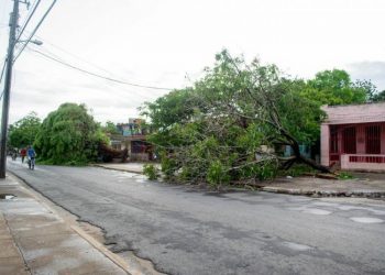 San Cristóbal suffered multiple damages from the passage of Tropical Storm Laura. Photo: Artemisa newspaper/Facebook.