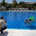 A family in a swimming pool at a resort in Punta Cana (Dominican Republic). Photo: EFE/Francesco Spotorno/Archive.