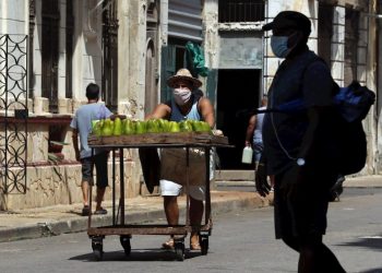 The processed samples reached 7,186, with which the country has now made 621,180 tests in search of the pandemic. Photo: Ernesto Mastrascusa/EFE.