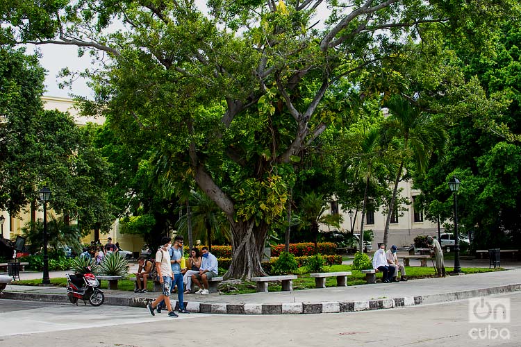 Plaza Cadenas at the University of Havana. Photo: Otmaro Rodríguez/Archive.