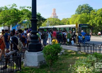 People at an urban bus stop in Parque de la Fraternidad, in Havana. Photo: Otmaro Rodríguez.