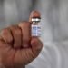 In the image, a sample of the Cuban Soberana 02 vaccine, on February 25, 2021, in Havana (Cuba). Photo: EFE/Ernesto Mastrascusa/Archive