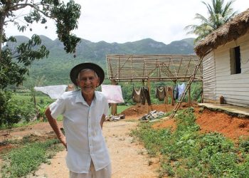 Herminio, a farmer in Viñales, Pinar del Río, who in 2017 still works the lands that were given to him with the agrarian reform. Photo of the author, 2017.