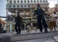 Rescuers with their dogs in front of the Saratoga Hotel, in Havana, during the search and rescue work at the site. Photo: Otmaro Rodríguez.