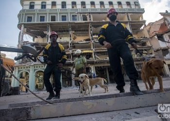 Rescuers with their dogs in front of the Saratoga Hotel, in Havana, during the search and rescue work at the site. Photo: Otmaro Rodríguez.