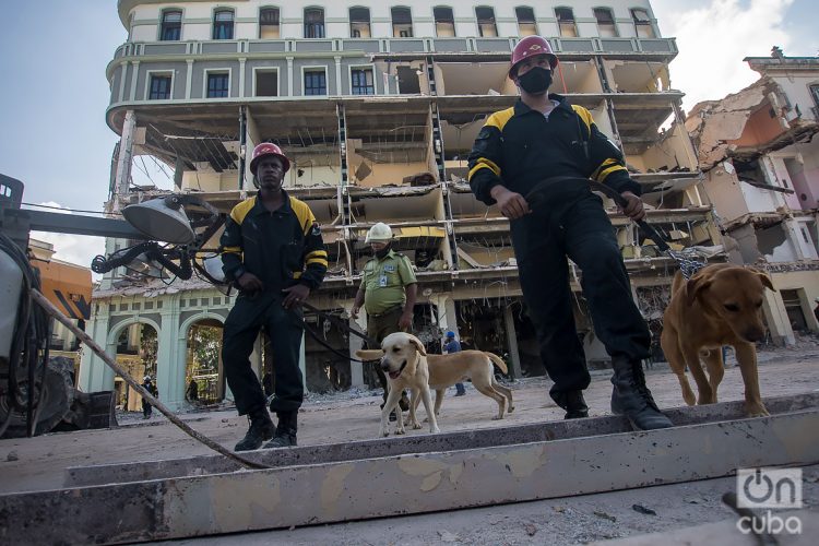 Rescuers with their dogs in front of the Saratoga Hotel, in Havana, during the search and rescue work at the site. Photo: Otmaro Rodríguez.