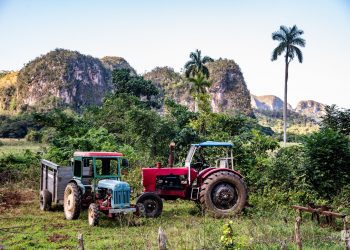 Cuba’s agricultural model. Cuban tractors in the field.