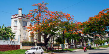 Santa Catalina Avenue, in Havana. Photo: Otmaro Rodríguez.