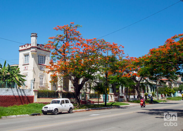 Santa Catalina Avenue, in Havana. Photo: Otmaro Rodríguez.