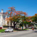 Santa Catalina Avenue, in Havana. Photo: Otmaro Rodríguez.