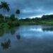 San Miguel de los Baños spring. Photo: Jorge Ricardo.