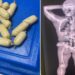 Cocaine capsules detected by Cuban Customs as they attempted to smuggle them into Havana airport. Photo: Taken from the X profile of Wiliam Pérez González, First Deputy Chief of the General Customs Office of the Republic of Cuba.