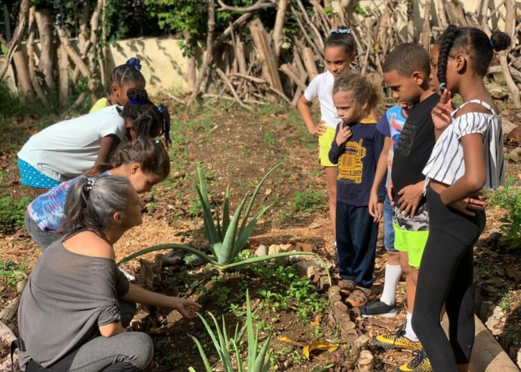 Sandra Sotolongo, co-director of the “inSurGENTES” project, during an activity in the vegetable garden. Photo: Courtesy.