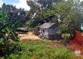 Farmer dwelling in Los Palacios, Pinar del Río. Photo: Otmaro Rodríguez.