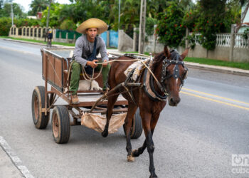 Photo: Kaloian.
