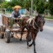 Photo: Kaloian.