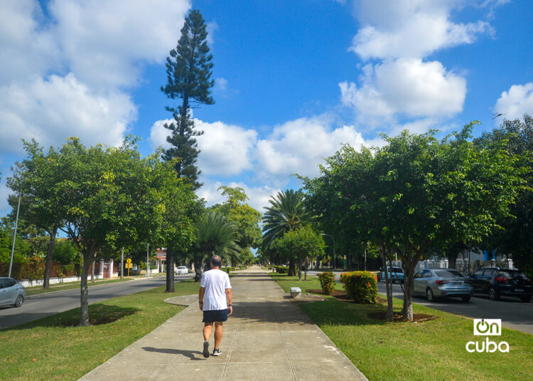 Fifth Avenue in Miramar, Havana.