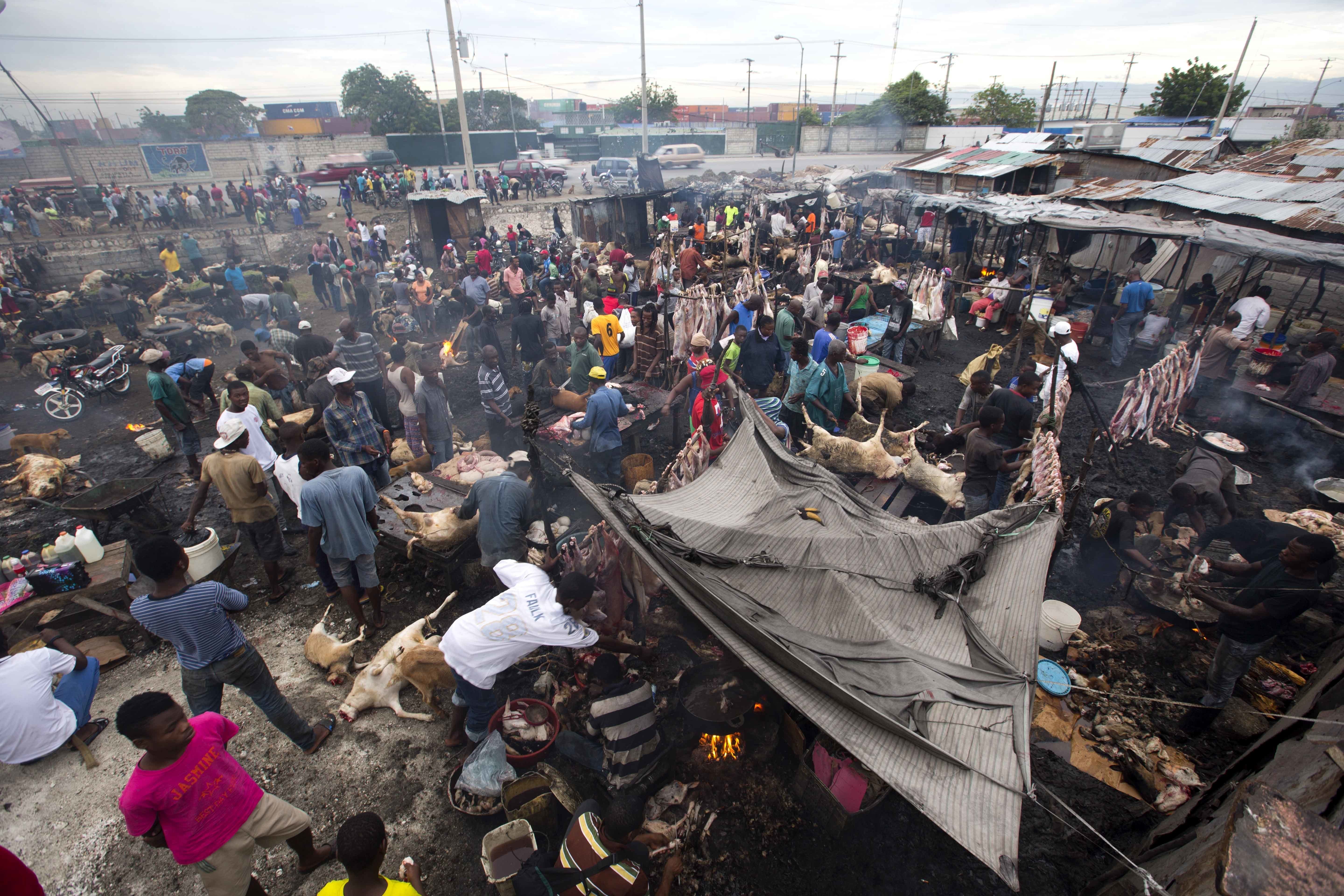 Vista del mercado de carne de La Saline, en Puerto Príncipe, Haití. El matadero al aire libre es un escenario de pesadilla con sangre animal, trozos de carne y residuos, pero es también una parte esencial de la economía de la capital haitiana, del que sale la carne para los restaurantes, los vendedores ambulantes y las tiendas. (AP Foto/Dieu Nalio Chery)
