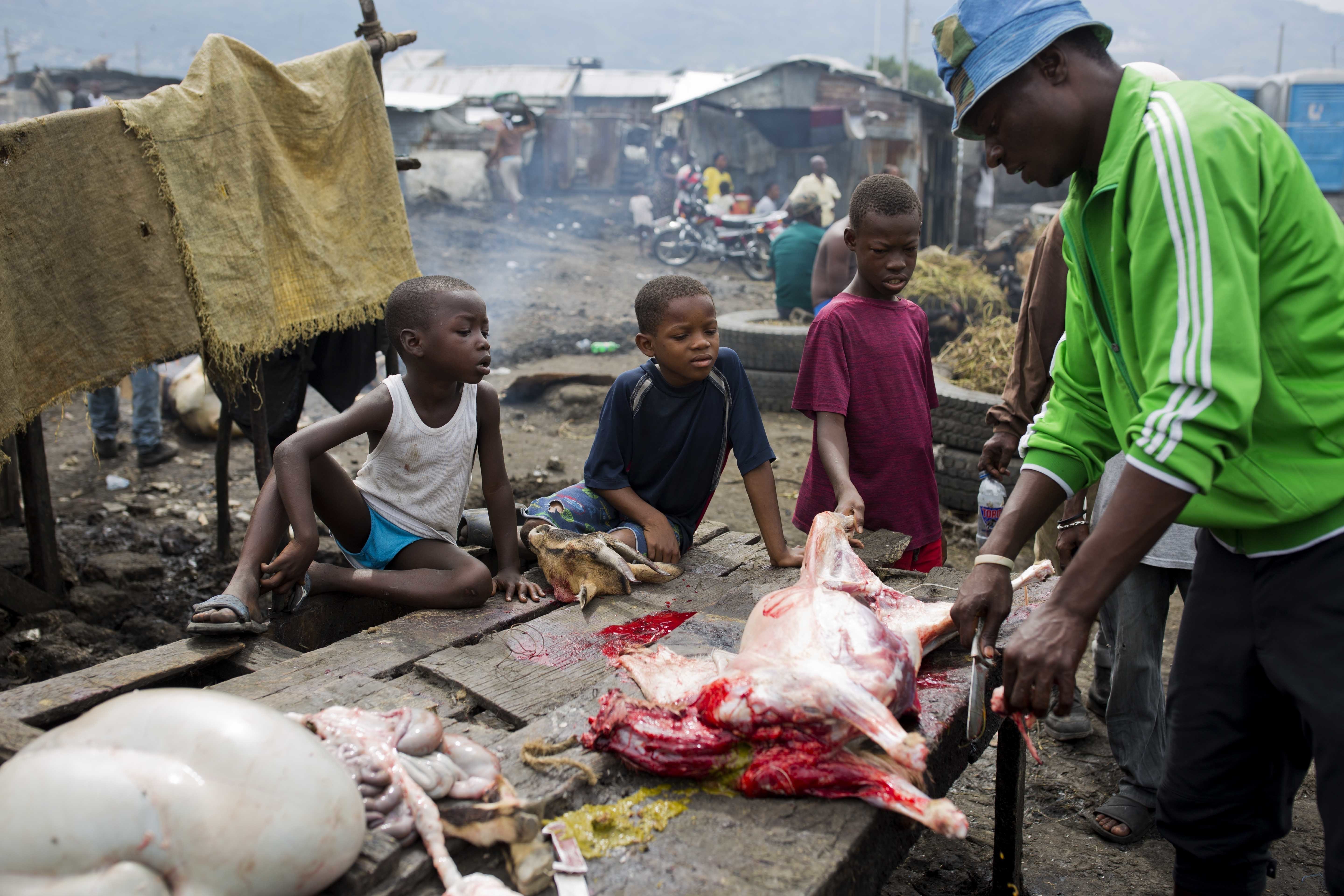 Tres niños observan mientras un carnicero descuartiza una cabra en el mercado de carne de La Saline, en Puerto Príncipe, Haití. El mercado es una parte esencial de la economía de la capital haitiana, del que sale la carne para los restaurantes, los vendedores ambulantes y las tiendas. (AP Foto/Dieu Nalio Chery)