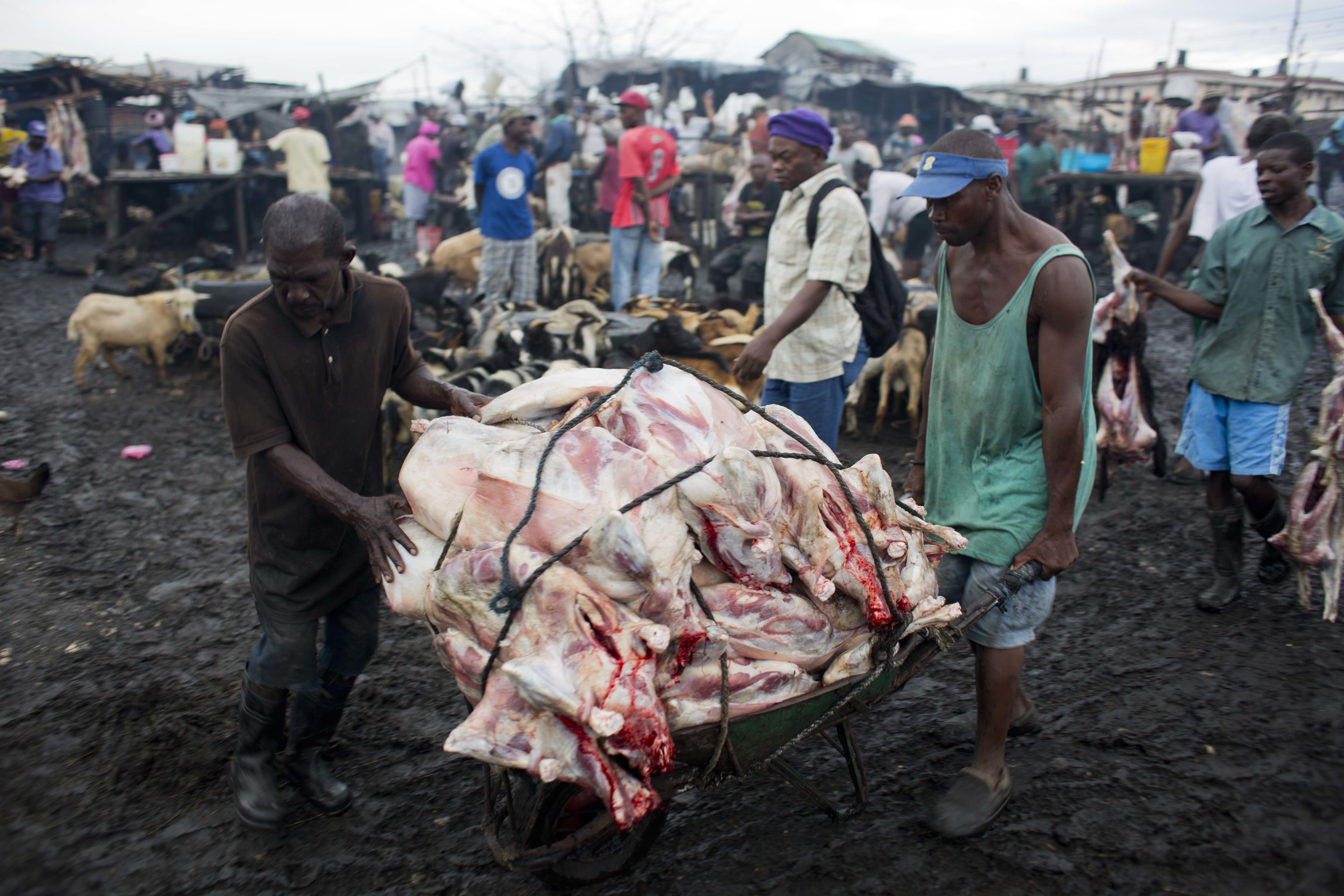 Trabajadores del matadero conducen una carretilla llena de cabras sacrificadas, listas para la venta, en el mercado de carne de La Saline, en Puerto Príncipe, Haití. Clientes, vecinos e incluso trabajadores dicen que las autoridades haitianas no toman medidas para mejorar las condiciones del mercado. (AP Foto/Dieu Nalio Chery)