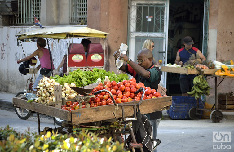 Un vendedor trata de conservar las verduras y hortalizas frescas. Foto: Otmaro Rodríguez.Un vendedor trata de conservar las verduras y hortalizas frescas. Foto: Otmaro Rodríguez.