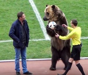 En esta imagen tomada de un video proveído por el equipo FC Angusht Nazran se ve un oso antes de un partido de fútbol de la tercera división rusa. Foto: Canal del FC Angusht Nazran en youtube vía AP.