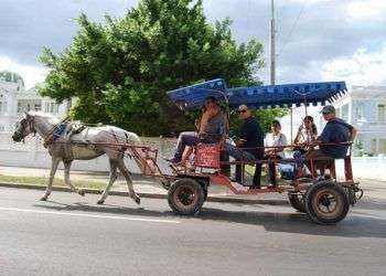 El coche con caballos es en muchas ciudades del interior de Cuba esencial para el transporte de la población / Foto: Raquel Pérez