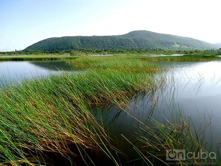 Great Northern Wetland in Ciego de Avila / Photo: Eric Yanes Rodriguez