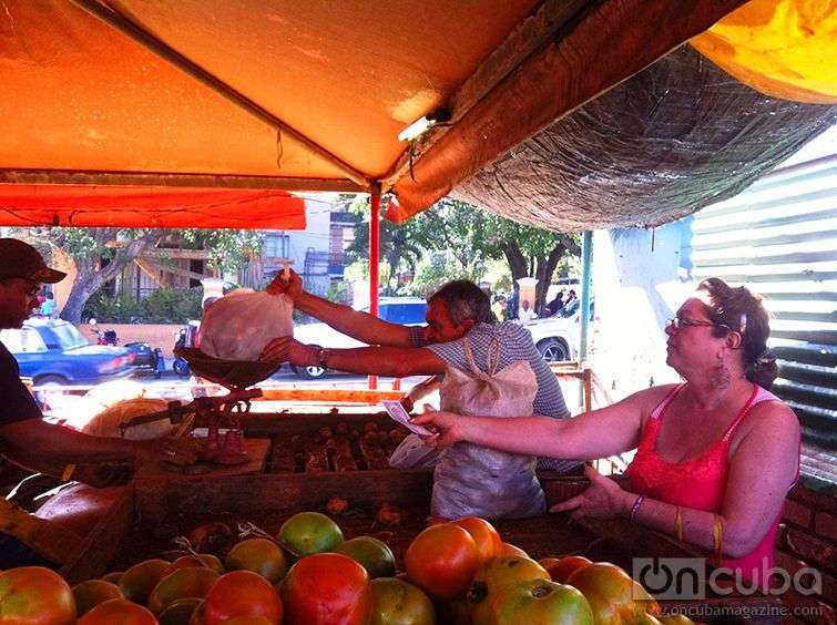 Sale of potatoes in Cuba / Photo: Jorge Carrasco