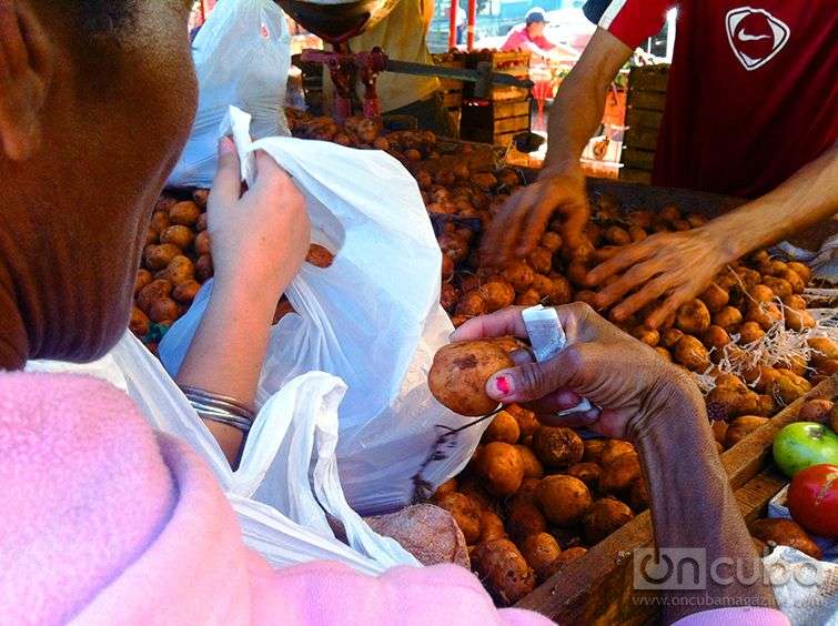 Sale of potatoes in Cuba / Photo: Jorge Carrasco