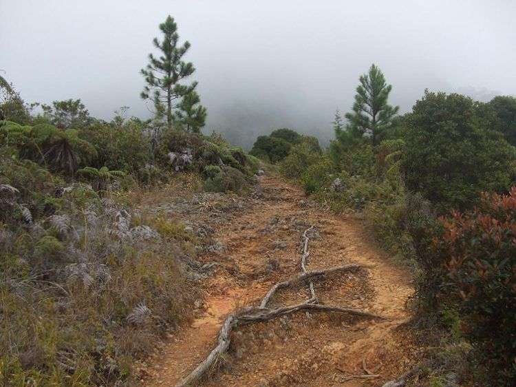 Caminos de la Sierra / Foto: Cortesía del autor