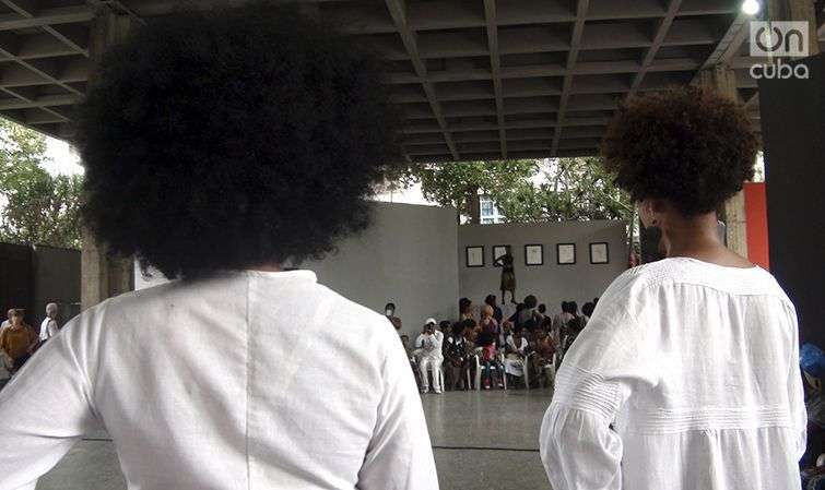 Cabello rizo - Peinados Afros 6