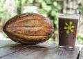 Cacao en Baracoa, en el oriente de Cuba. Foto: OnCuba Travel / Archivo.